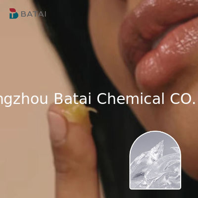 BT-9301 Gel elastomérico de organosilicón Polimetil siloxano en polvo elástico enlazado cruzado para productos químicos diarios para la cadena de carbono CAS
