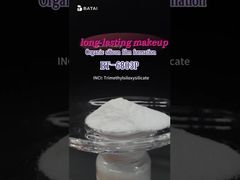 Uso de trimetilsiloxisilicato en cimientos.